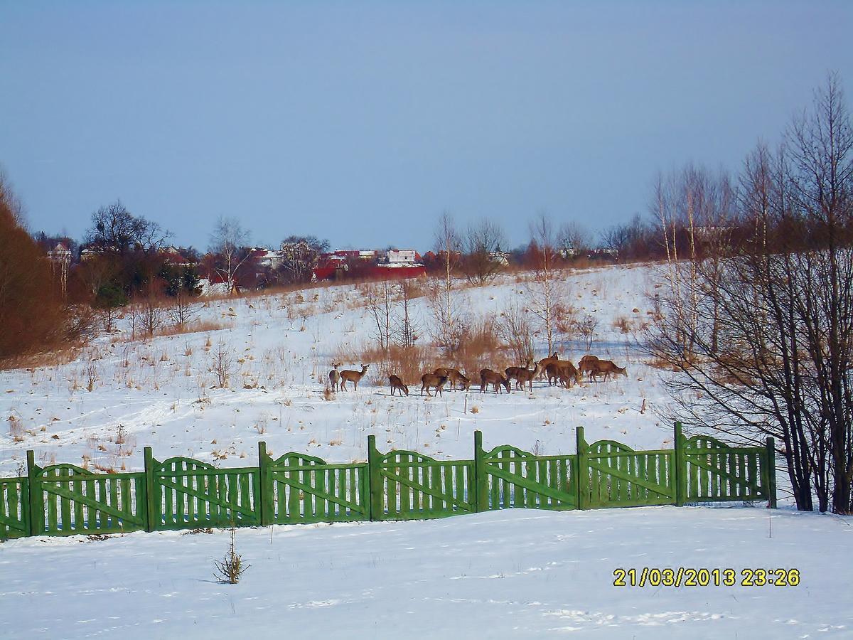 Mikołajki Mazurska Chata Jezioro I Aquapark 6 Min, Centrum I Promenada 12 Min מראה חיצוני תמונה